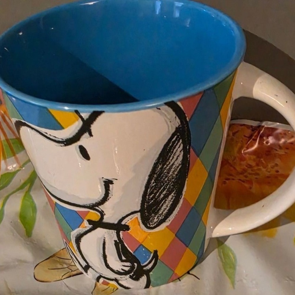 Gibson Peanuts Snoopy Harlequin Diamond Coffee Mug Blue Interior Ceramic 14oz